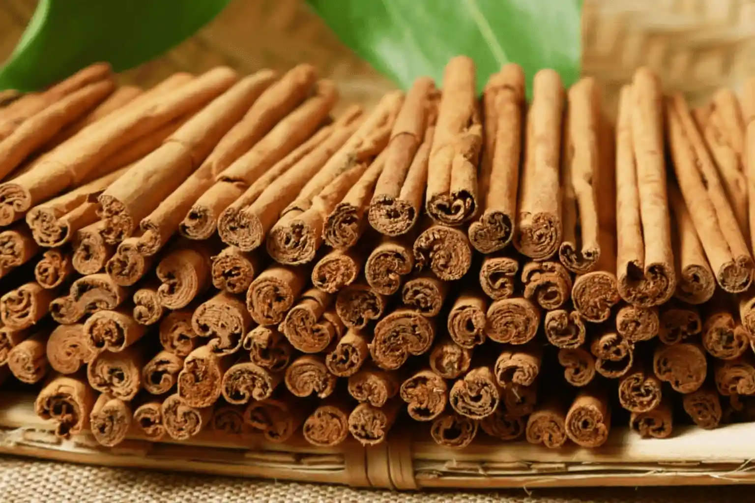 Cinnamon